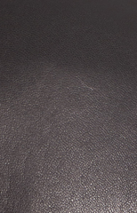 Summit Leather Jacket